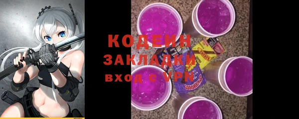 трава Инта