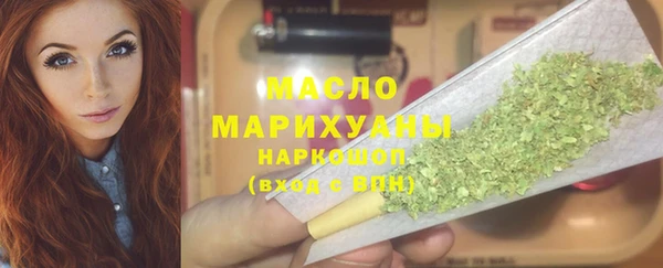 2c-b Инсар