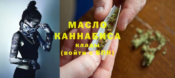 трава Инта