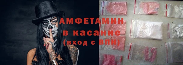 трава Инта