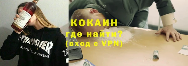 2c-b Инсар