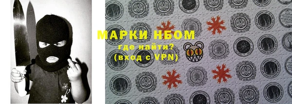 трава Инта