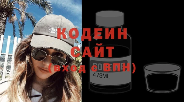 2c-b Инсар