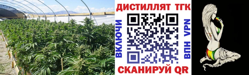 Купить закладки  Иноземцево  Дистиллят ТГК жижа 